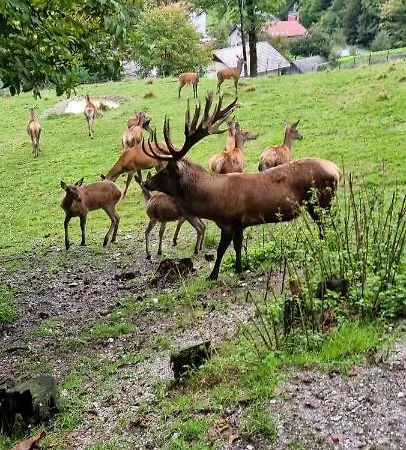 Apartma Nevi * Motnik